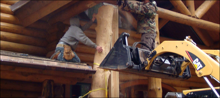 Log Home Log Replacement  New Kent County, Virginia