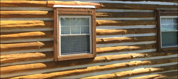 Log Home Whole Log Replacement  Lanexa, Virginia