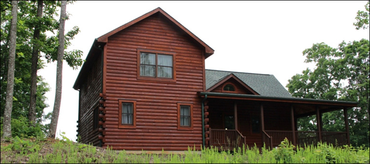 Professional Log Home Borate Application  New Kent County, Virginia