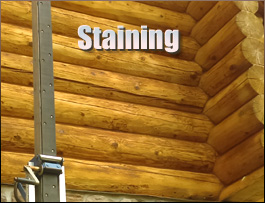  New Kent County, Virginia Log Home Staining